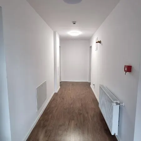 Pensiunea Barsan 게스트하우스 Vişeu de Sus