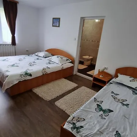 Pensiunea Barsan Vişeu de Sus