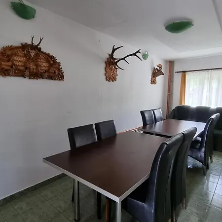 Pensiunea Barsan